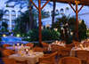 Melia Marbella Dinamar 